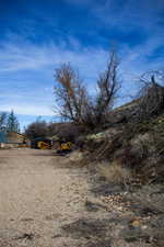 View of yard featuring a shed and driveway / parking lot