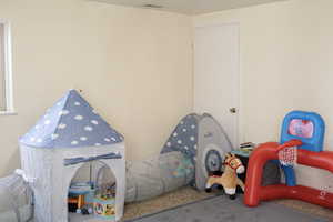 Family / Recreation room in basement