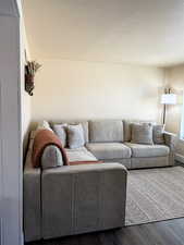 Living room featuring wood finished floors and a textured ceiling