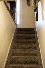 Stairs with baseboards and carpet floors, view looking upstairs from basement