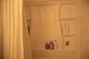 Bathroom view of a shower with shower curtain