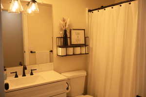 Full bathroom featuring vanity and a shower with shower curtain