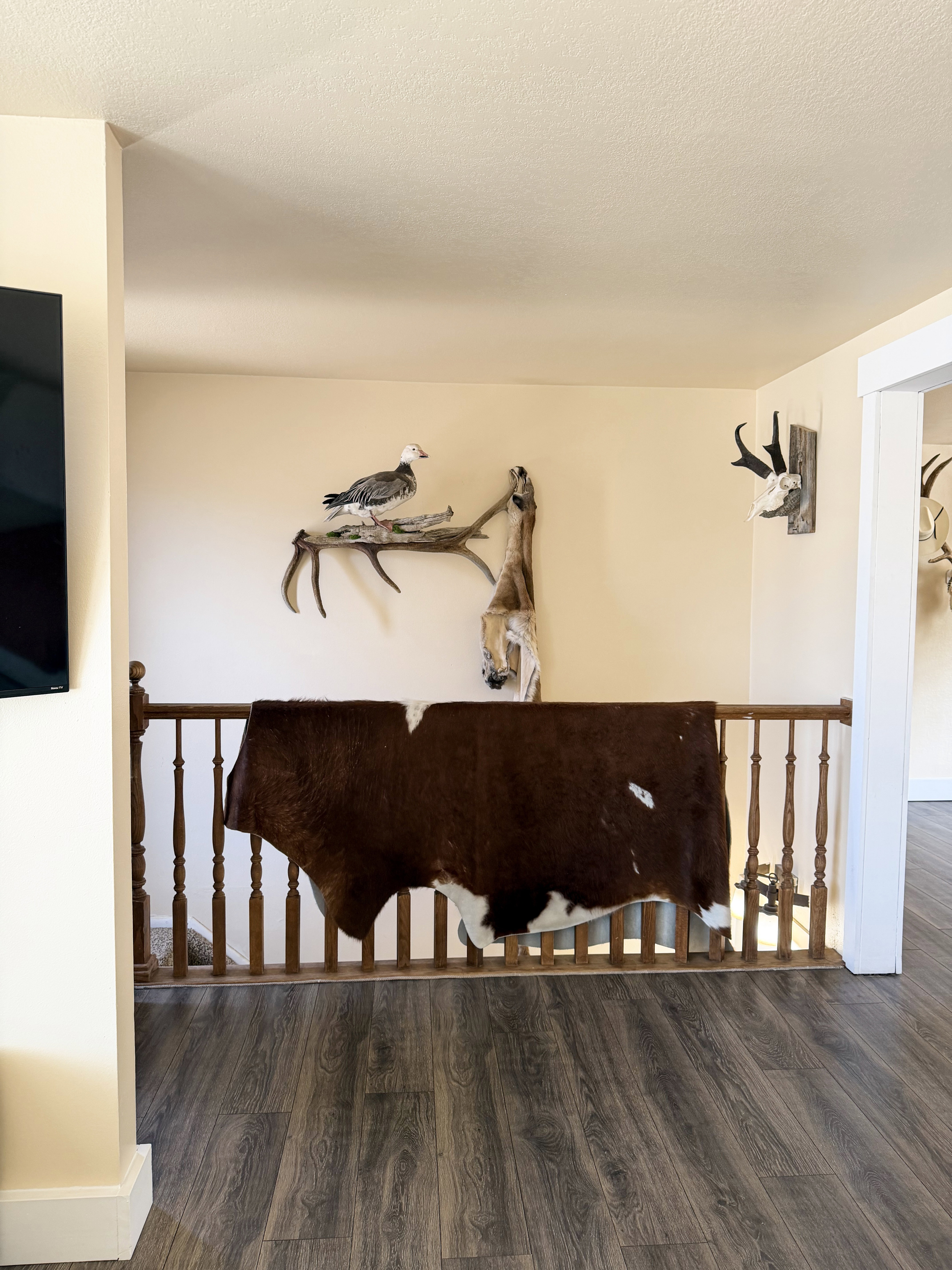 Detailed view of wood finished floors and a textured ceiling