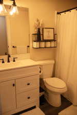 Bathroom featuring vanity and wood-style floors