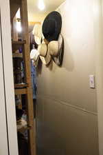 Pantry closet in basement