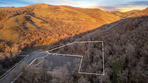 Aerial view at dusk of a mountain view, property boundaries highlighted, and a forest view