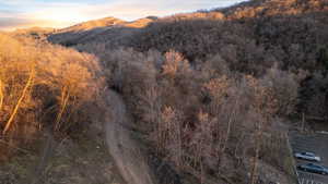 Mountain view with a heavily wooded area
