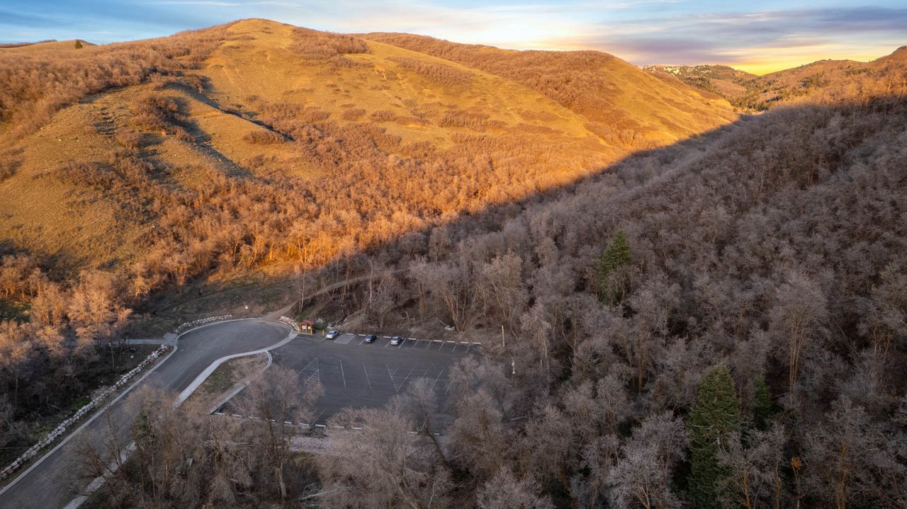 Mountain view with a forest