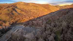 Mountain view with a forest
