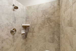 Bathroom view of a tile shower