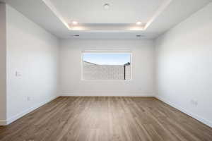 Spare room featuring wood finished floors and a tray ceiling