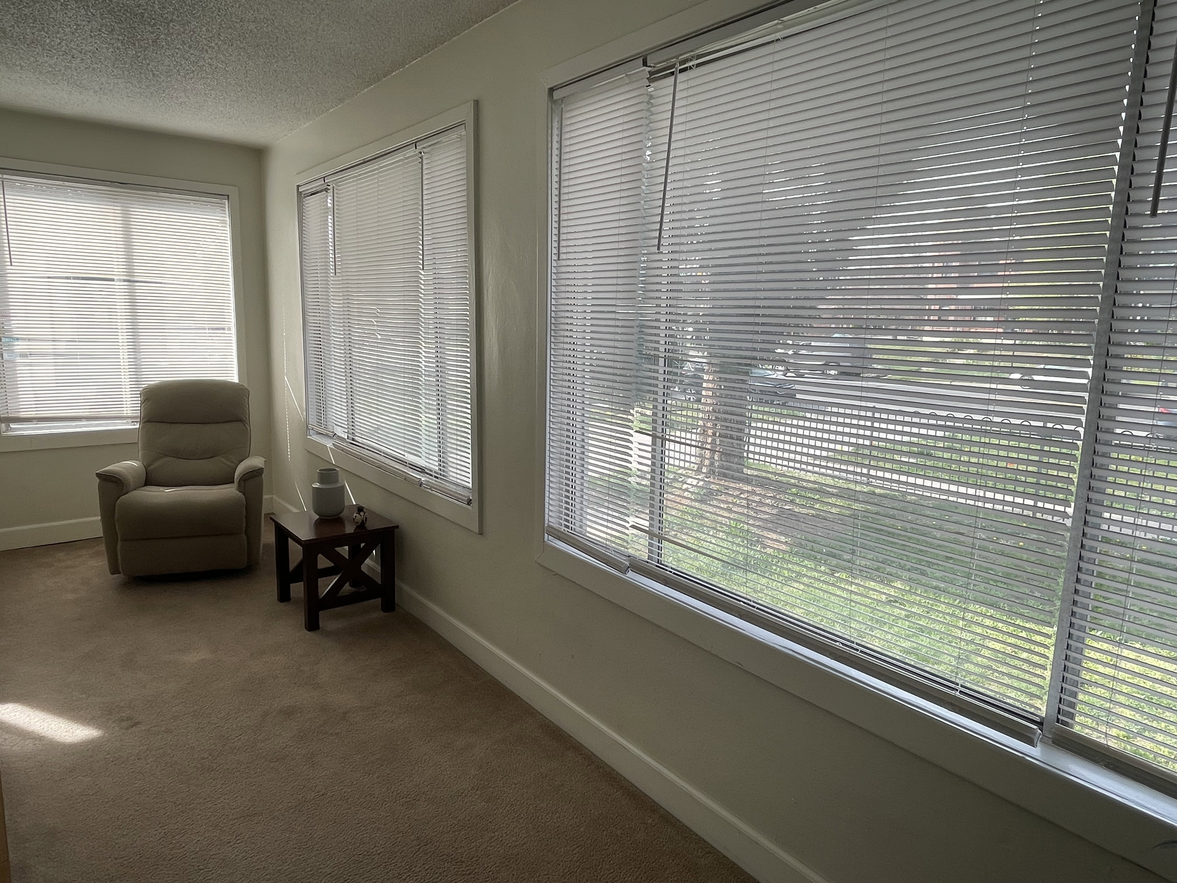 Living area featuring dark colored carpet and a textured ceiling