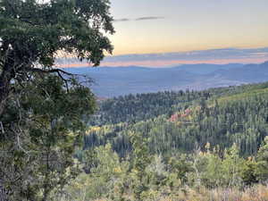 Mountain view with a forest