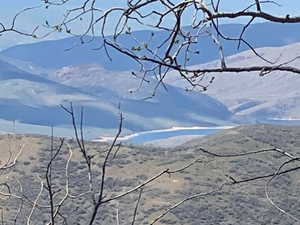 Rolling hillsides with a distant body of water under a clear sky