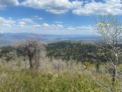 Expansive natural landscape featuring rolling hills and distant mountains under a broad sky with scattered clouds