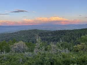 View of woods