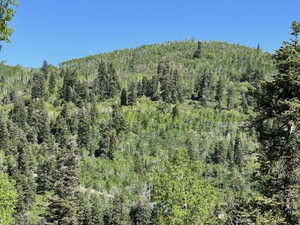 View of wooded area