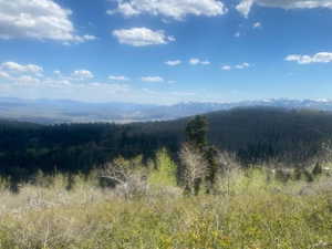 Expansive natural landscape featuring lush green foliage and distant mountains