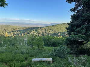 Mountain view featuring a forest