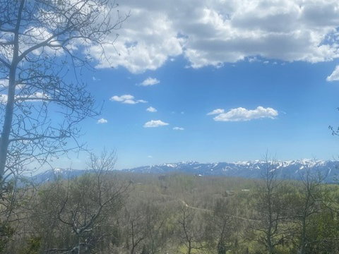 Expansive mountain landscape featuring distant snow-capped peaks and abundant natural foliage