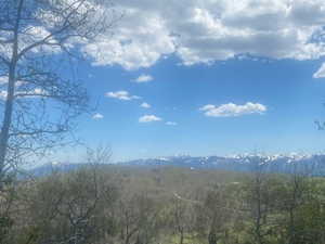 Expansive mountain landscape featuring distant snow-capped peaks and abundant natural foliage