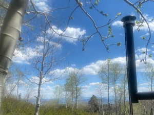 stovepipe from wood stove in the view