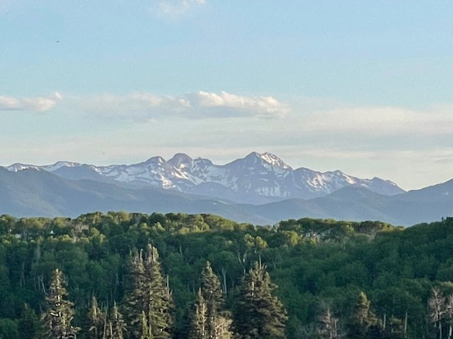 View of mountain background with a forest