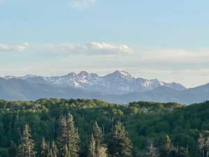 View of mountain background with a forest