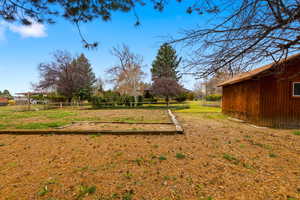 View of yard with a vegetable garden
