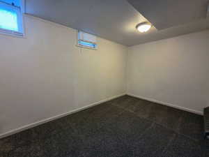 Below grade area with dark colored carpet and baseboards