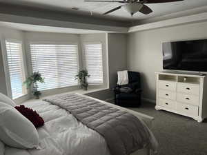 Bedroom featuring dark carpet and a ceiling fan