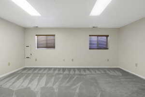 Unfurnished room featuring light colored carpet and plenty of natural light