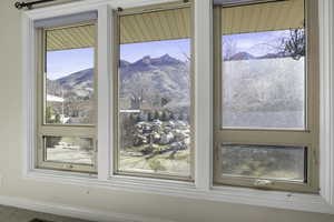 Detailed view of a mountainous background