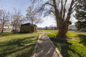View of grassy yard featuring a storage shed