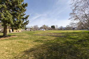 View of grassy yard