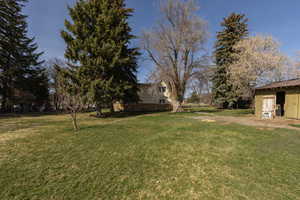 View of grassy yard
