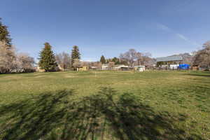 View of green lawn