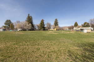 View of green lawn with a storage unit