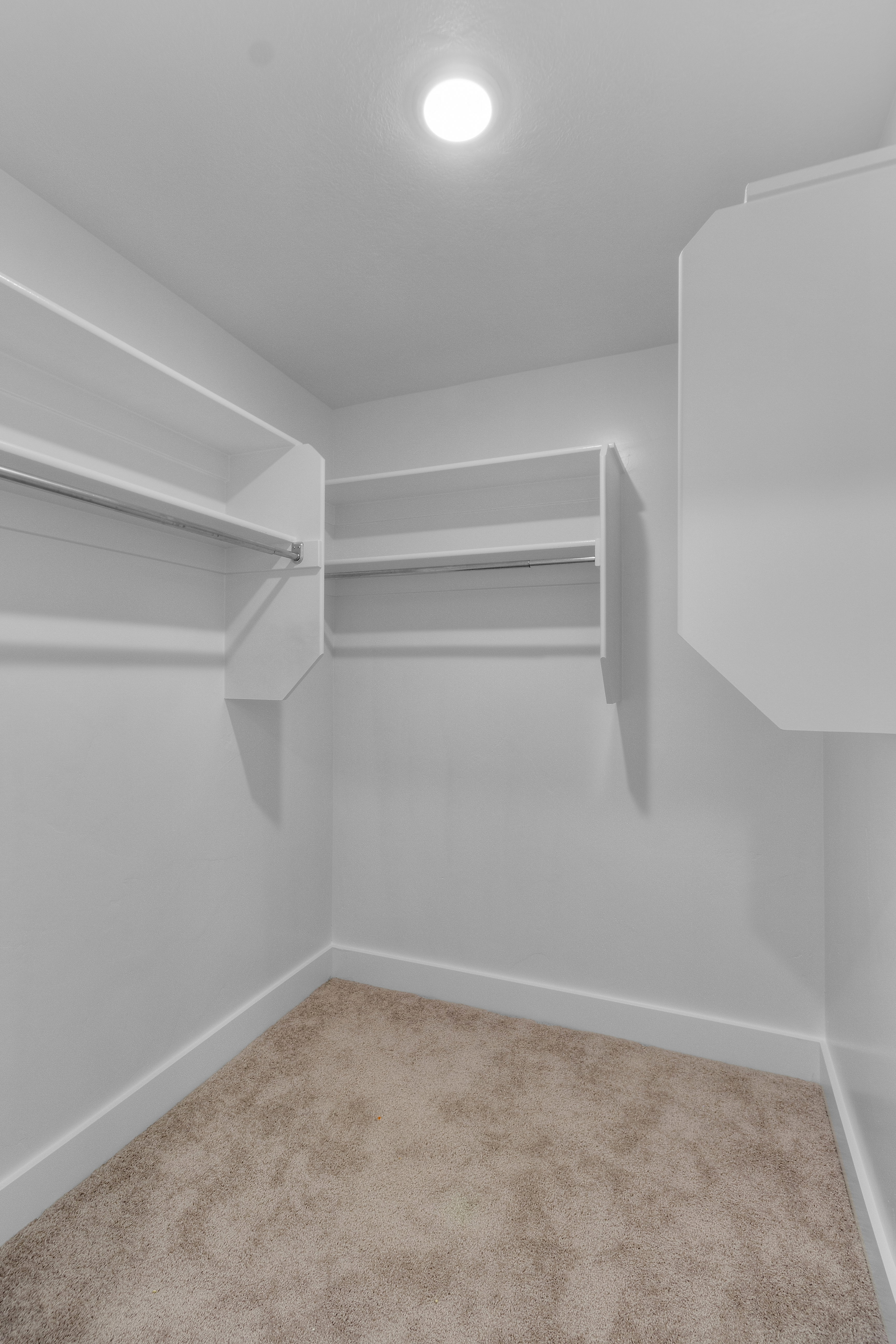 Walk in closet with carpet