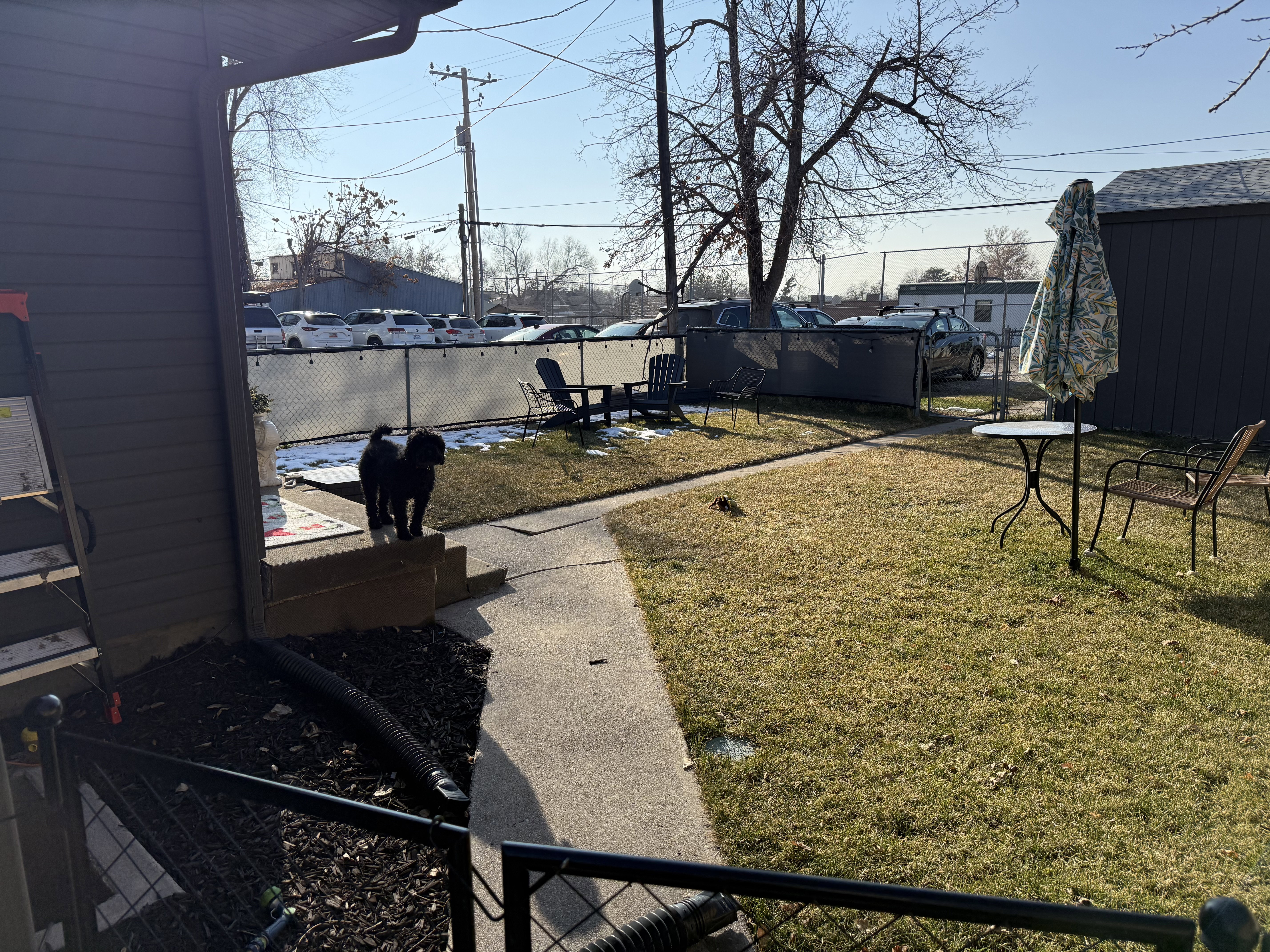 View of fenced backyard