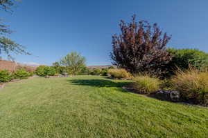 View of green lawn