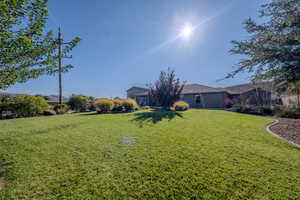 View of green lawn