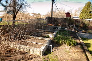 View of yard with a garden (raspberry plants)