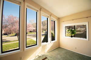 Main floor family room windows--lots of natural light