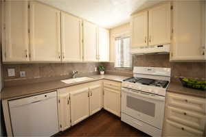 Newer stove and disposal in kitchen