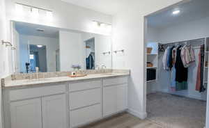 Primary Bathroom featuring a spacious closet, double vanity, light wood-type flooring, and light colored carpet