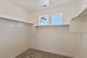 Walk in closet with carpet