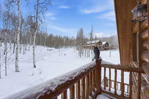 View of snowy yard