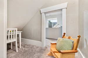 Carpeted bedroom featuring a textured wall and vaulted ceiling