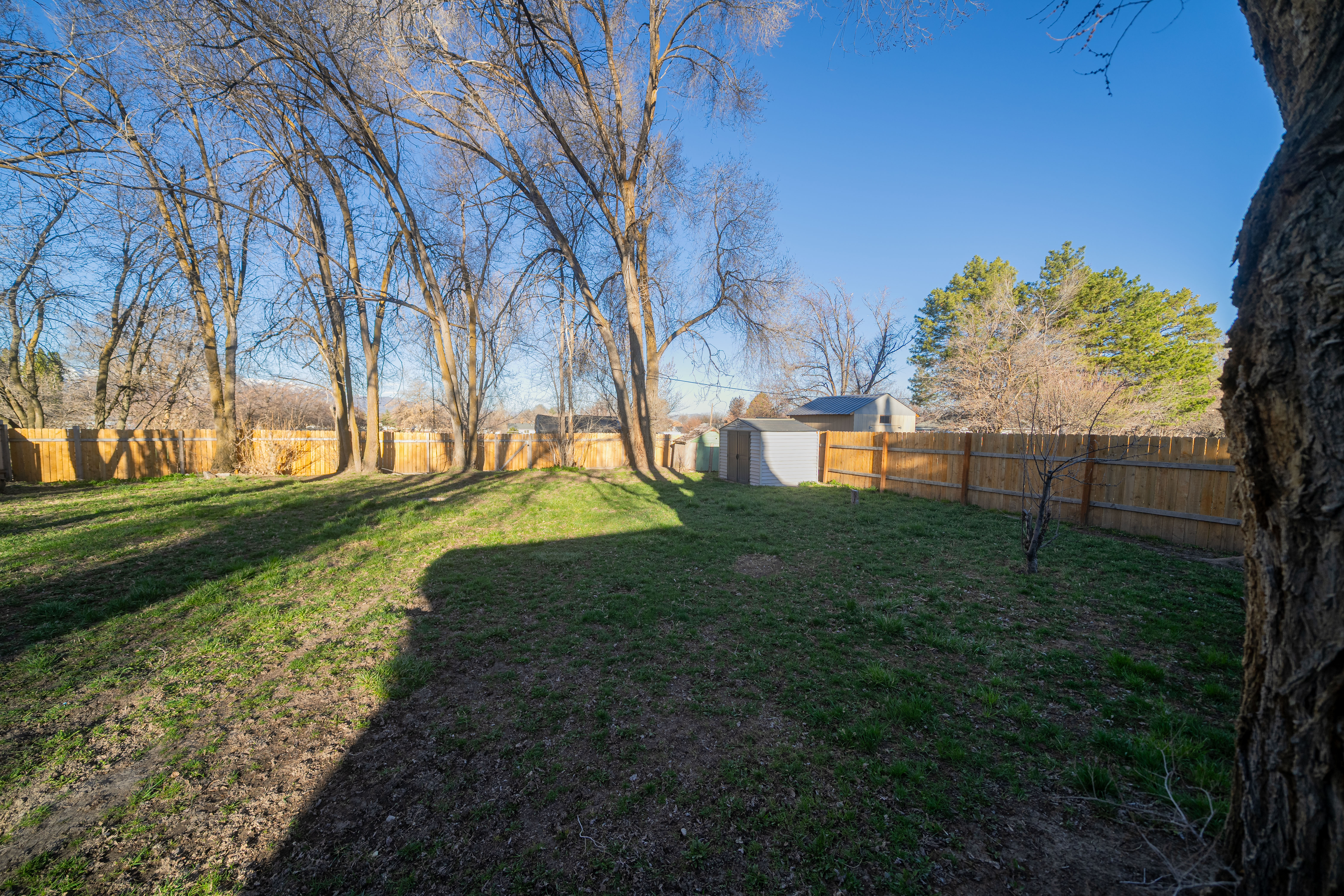 Fenced backyard with a shed